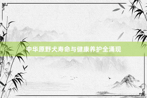 中华原野犬寿命与健康养护全涌现